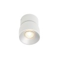 Lampa sufitowa spot biała Pitcher 1-punktowa - Nordlux