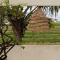 Rattanowy abażur do lampy sufitowej Boho Shapes BAZAR BIZAR