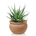 Ceramiczna donica ogrodowa niska Ø38 - Polnix