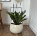 Donica ogrodowa ceramiczna Ø33, kremowa - Polnix