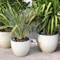 Doniczka ceramiczna z podstawką Ø23, kremowa - Polnix
