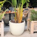 Doniczka ceramiczna z podstawką Ø41, kremowa - Polnix