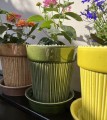 Doniczka ceramiczna z podstawką, z żebrowanym wzorem Ø12, karmel - Polnix