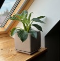 Kwadratowa doniczka ceramiczna z podstawką 20x20, szara - Polnix