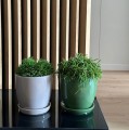 Doniczka ceramiczna z podstawką Ø20, zielona - Polnix