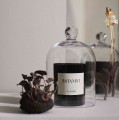 Świeca zapachowa z naturalnego wosku Botanist 210 g - Tell Me More