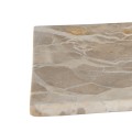 Taca marmurowa Vita Seashell 12x12 - Muubs