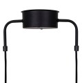 Designerska lampa wisząca Curve 5, czarna - Globen Lighting