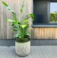 Duże donice ogrodowe ceramiczne wysokie szkliwione zielone, 3 szt - Polnix