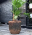 Mrozoodporna donica ogrodowa ręcznie wykonana Ø 56 cm, brąz - Polnix