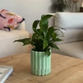 Doniczka ceramiczna z podstawką Ø 14 cm, seledynowa - Polnix