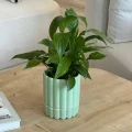 Doniczka ceramiczna z podstawką Ø 14 cm, seledynowa - Polnix