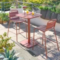Hoker ogrodowy Alegoria, Mahogany - Hesperide