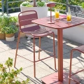 Hoker ogrodowy Alegoria, Mahogany - Hesperide