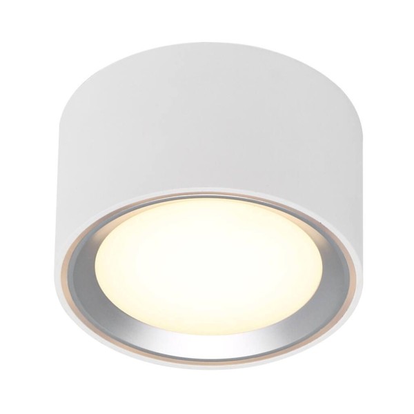Lampa ledowa sufitowa tuba spot Fallon LED biała stal szczotkowana NORDLUX