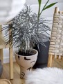 Czarna donica na nodze ceramiczna BLOOMINGVILLE