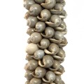 Tassel Shell Cotton Grey - Bazar Bizar