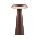 Portable table lamp Arcello Led brown brunished brass - DFTP by Nordlux