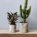 Terracotta cylindrical pots Treasure, set of 2 - Muubs