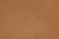 Krzesło drewniane tapicerowane NY11 dąb Dark Smoked skóra Dunes Camel - Norr11