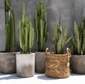Woven basket Zigzag L banana leaves - Bazar Bizar