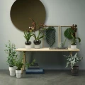 Orchid pot Ø15 with self-watering system - Eva Solo