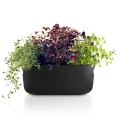 Herb pot with self-watering system Herb Organizer black - Eva Solo