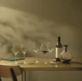Burgundy red wine glass 0.5L - Eva Solo