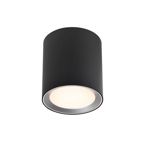 Lampa łazienkowa sufitowa Landon 14, Led IP44, czarna - Nordlux