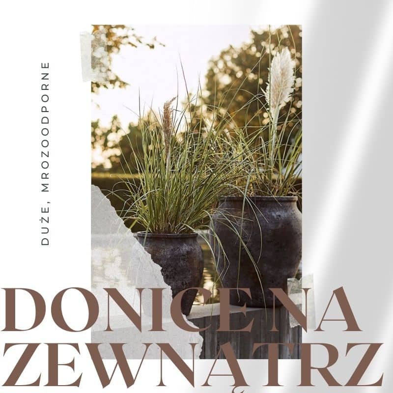 Donice na zewnątrz, donice na balkon, donice na taras i donice ogrodowe wysokiej jakości
