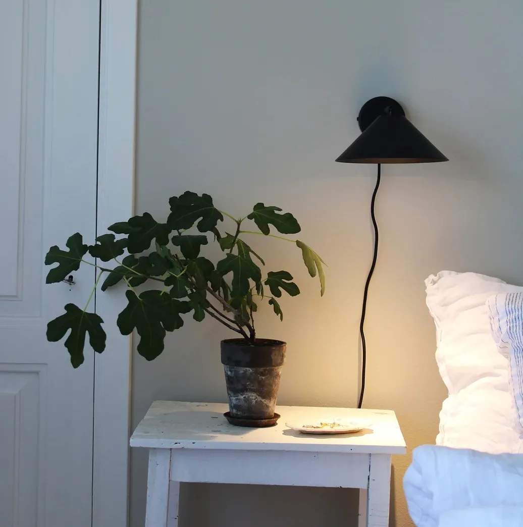 Globen Lighting Cannes, Natural Home Decor