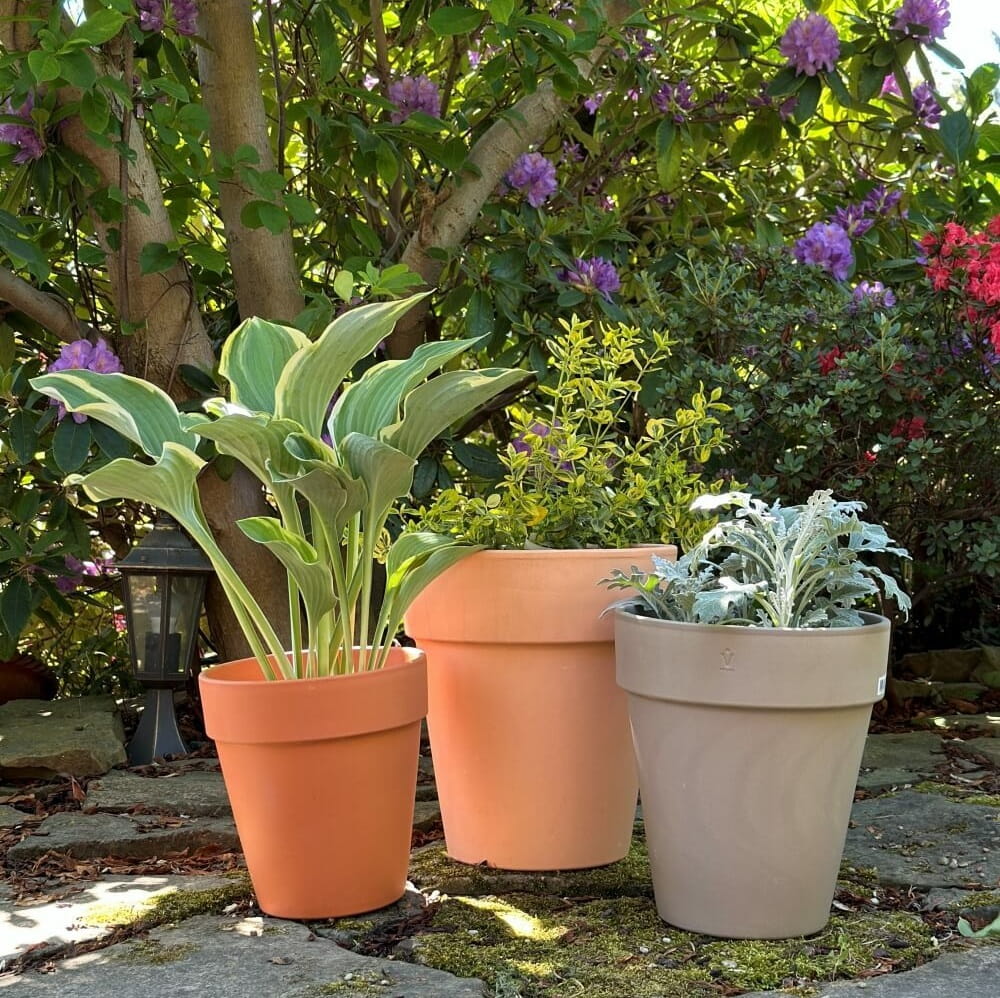 ogrodowa doniczka z terakoty, natural home decor