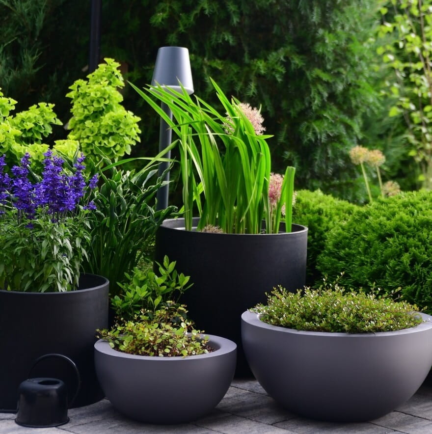 donica misa, natural home decor