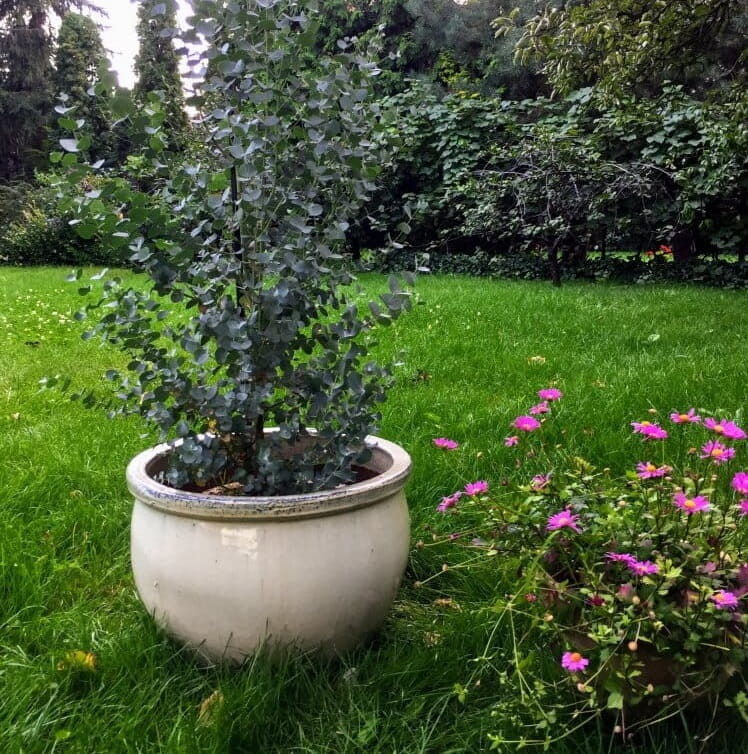 ceramiczna donica ogrodowa, natural home decor