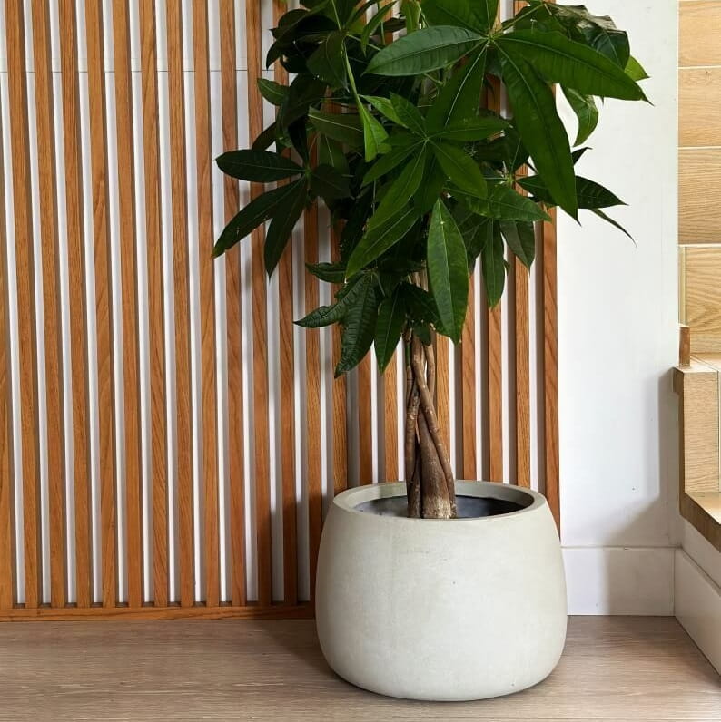 donice z włókna ceramicznego, natural home decor