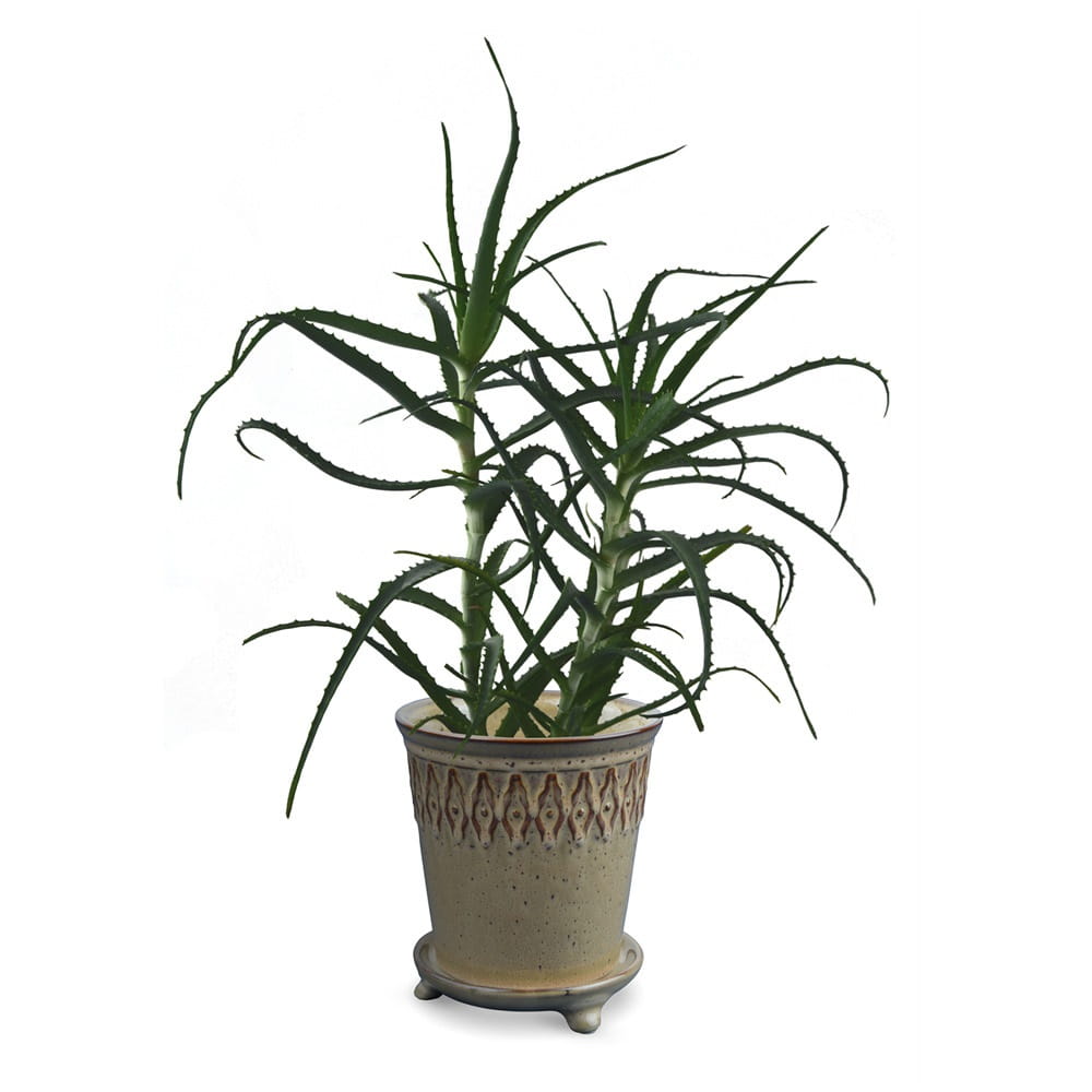 ceramiczna doniczka z podstawką, natural home decor