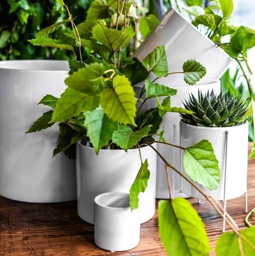 biała osłonka ceramiczna, natural home decor