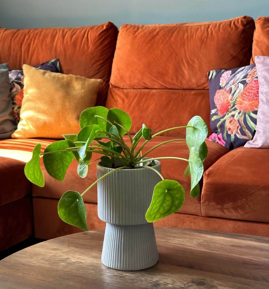 doniczka na nodze ryflowana, natural home decor