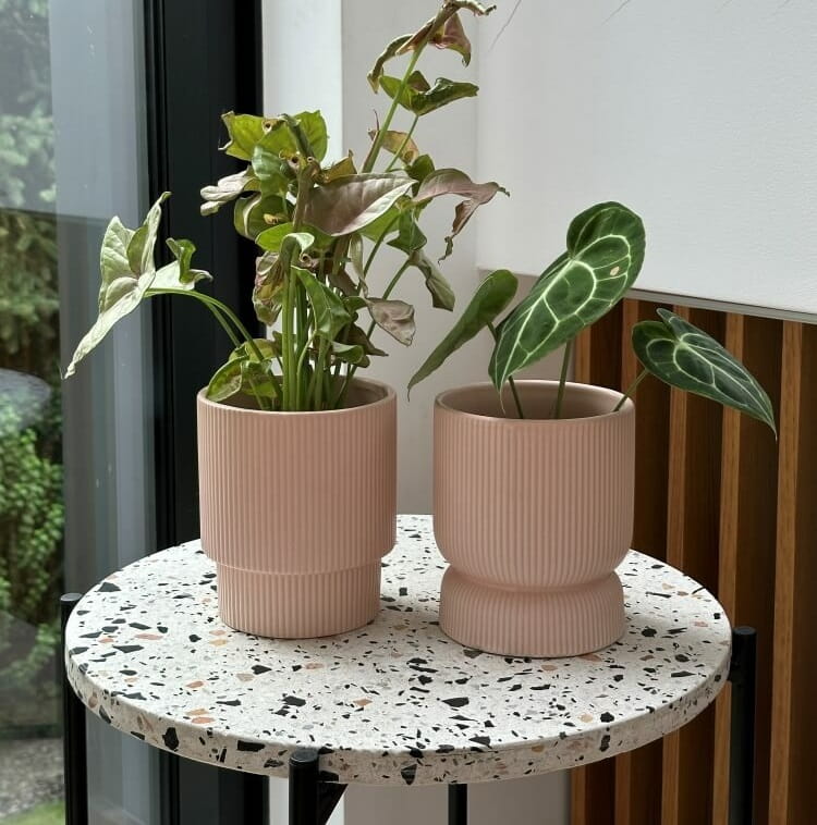 doniczka kielich, natural home decor