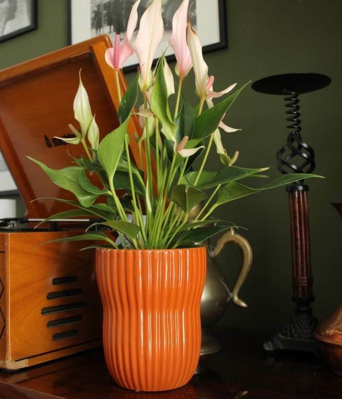 ceramiczna osłonka o nieegularnym kształcie, natural home decor