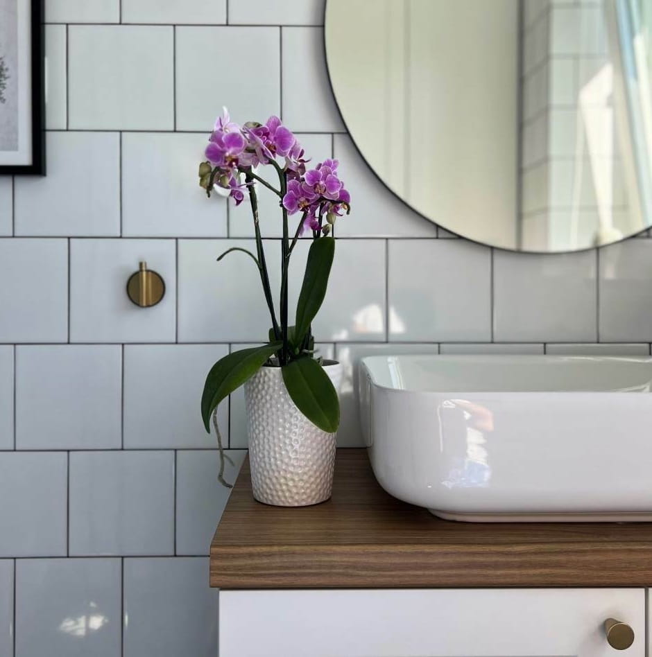 doniczka do storczyka, natural home decor