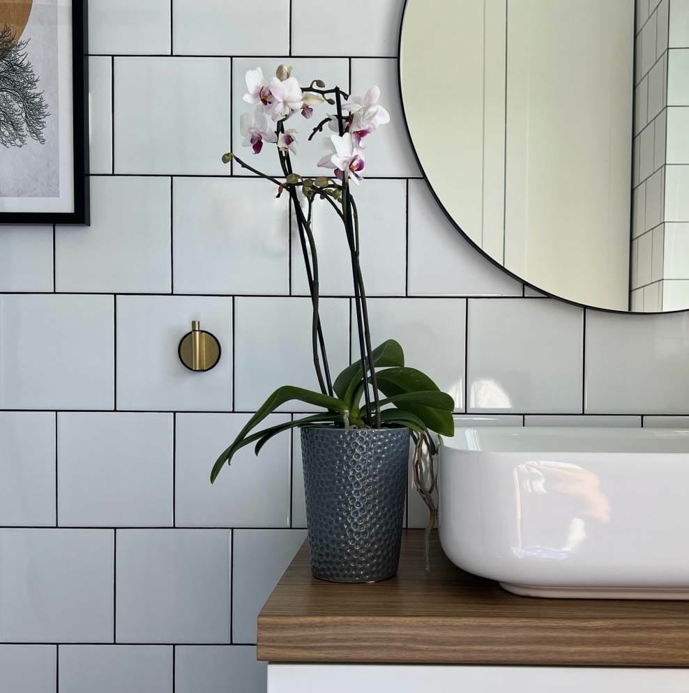 doniczka do storczyka, natural home decor
