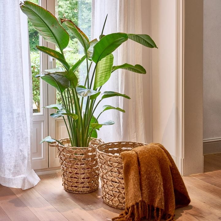 kosz z hiacyntu wodnego Pomax, Natural Home Decor