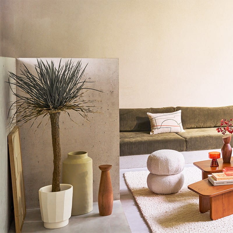 Bento Urban Nature Culture UNC, Natural Home Decor