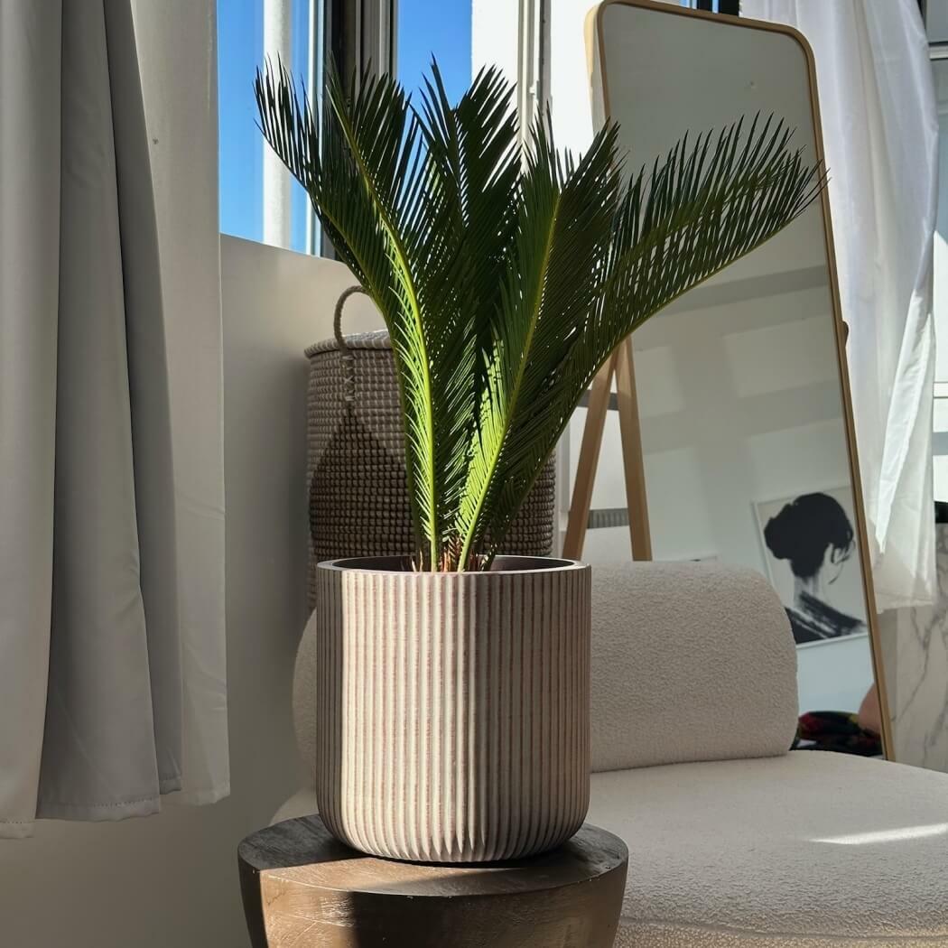 donice z włókna ceramicznego, natural home decor