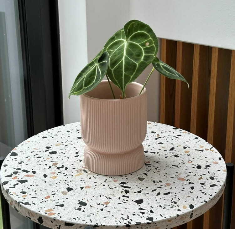 doniczka na nodze, natural home decor