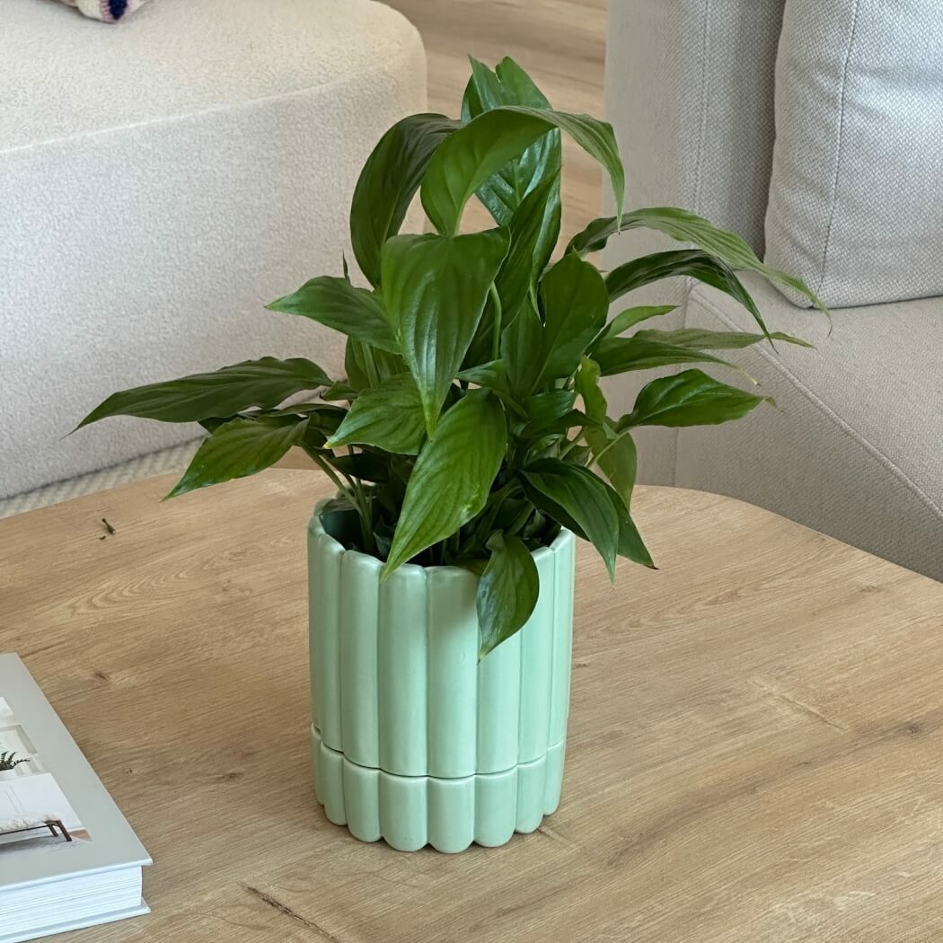 ceramiczna doniczka z podstwką, natural home decor