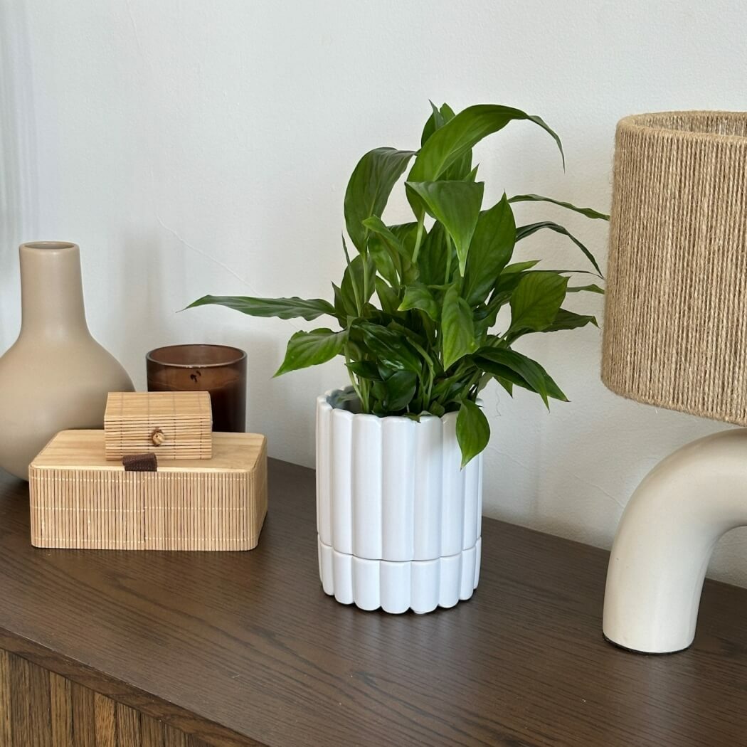 ceramiczna doniczka z podstwką, natural home decor