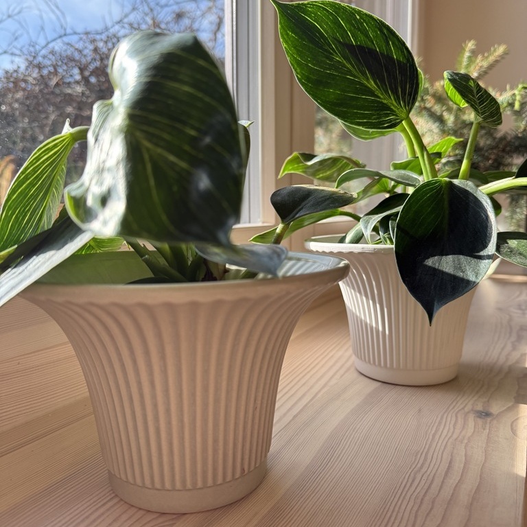 Ryflowana osłonka na doniczkę, natural home decor