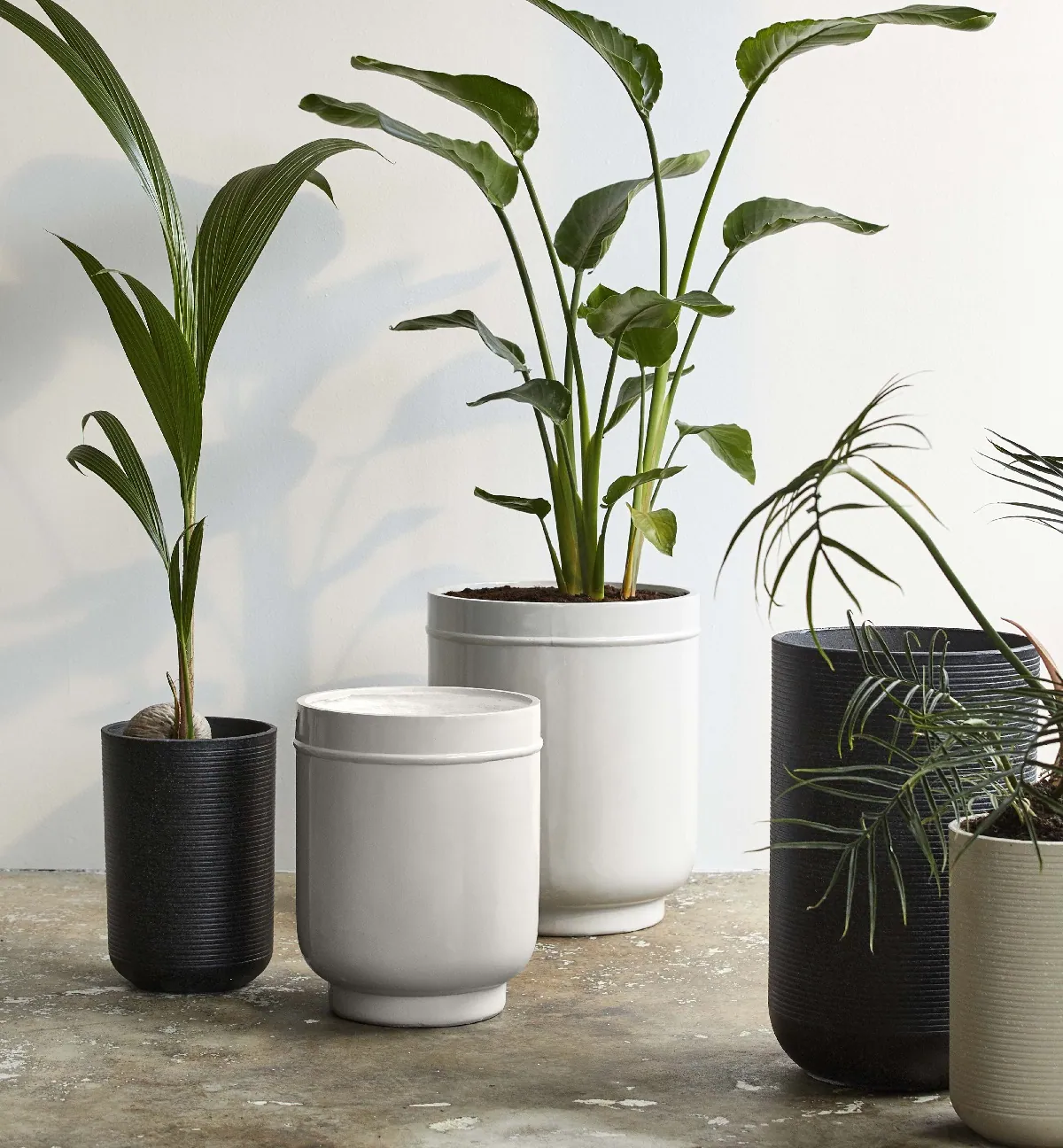 Wysokie donice do salonu Granito Nordal Naturalhomedecor